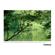 Tamron 150-500mm f/5-6.7: Picture 13 thumbnail