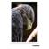 Tamron 150-500mm f/5-6.7: Picture 15 thumbnail
