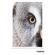 Tamron 150-500mm f/5-6.7: Picture 17 thumbnail