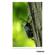 Tamron 150-500mm f/5-6.7: Picture 10 thumbnail