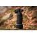 Tamron 150-500mm f/5-6.7: Picture 20 thumbnail