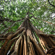 Tamron 16-30MM F/2.8: Picture 9 thumbnail