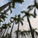 Tamron 16-30MM F/2.8: Picture 10 thumbnail