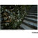 Canon 17-35mm f/2.8-4 Di OSD: Picture 22 thumbnail