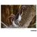 Tamron 50-400mm f/4.5-6.3 Di III: Picture 13 thumbnail