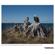 Tamron 50-400mm f/4.5-6.3 Di III: Picture 14 thumbnail