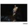 Tamron 50-400mm f/4.5-6.3 Di III: Picture 22 thumbnail