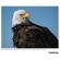 Tamron 50-400mm f/4.5-6.3 Di III: Picture 23 thumbnail