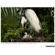 Tamron 50-400mm f/4.5-6.3 Di III: Picture 24 thumbnail