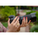 TAMRON 70-180mm F/2.8 Di III VC VXD G2 L...: Picture 14 thumbnail