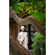 TAMRON 70-180mm F/2.8 Di III VC VXD G2 L...: Picture 18 thumbnail