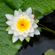 TAMRON 70-180mm F/2.8 Di III VC VXD G2 L...: Picture 21 thumbnail