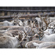 TAMRON 70-180mm F/2.8 Di III VC VXD G2 L...: Picture 24 thumbnail