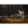TAMRON 70-180mm F/2.8 Di III VC VXD G2 L...: Picture 25 thumbnail