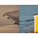 Tokina 300mm f/7.1: Picture 3 thumbnail