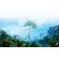 THQ/Nordic Biomutant: Picture 1 thumbnail