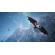 THQ/Nordic Biomutant: Picture 6 thumbnail