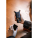 Tascam DR-07XP: Picture 9 thumbnail