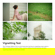 TTArtisan 250mm f/5.6: Picture 14 thumbnail