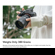 TTArtisan 250mm f/5.6: Picture 15 thumbnail