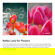 TTArtisan 250mm f/5.6: Picture 5 thumbnail