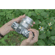 TTArtisan 50mm f/1.2 Lens: Picture 7 thumbnail
