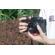 TTArtisan 25mm f/2: Picture 20 thumbnail