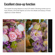 TTArtisan 25mm f/2: Picture 6 thumbnail