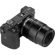 TTArtisan 40mm f/2.8: Picture 18 thumbnail