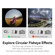 TTArtisan 7.5mm f/2 Fisheye Lens: Picture 5 thumbnail