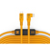Tether Tools TetherPro 31' USB-C Straigh...: Picture 2 thumbnail