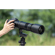 TTArtisan 500mm f/6.3 Lens: Picture 17 thumbnail