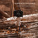 Tilta VT03: Picture 11 thumbnail