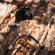 Tilta VT03: Picture 20 thumbnail