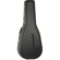 Tanglewood Deluxe ABS Hard Case: Picture 1 thumbnail