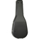 Tanglewood Deluxe ABS Hard Case: Picture 2 thumbnail