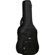 Tanglewood Adventurer OGB EA: Picture 1 thumbnail