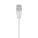 Ubiquiti Networks 16.4' UniFi Ether ligh...: Picture 4 thumbnail