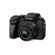 undefined undefined: Picture 1 regular