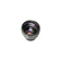 undefined undefined: Picture 1 regular