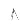 undefined undefined: Picture 1 regular