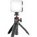 Ulanzi VL61: Picture 3 thumbnail