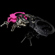 UZI Handcuff Chain with 2 Keys, Black: Picture 1 thumbnail