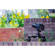 Cinetics SP1: Picture 6 thumbnail