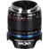 Venus 14mm f/4 FF RL Zero-D: Picture 5 thumbnail
