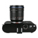 Venus 15mm f/2 Zero-D: Picture 7 thumbnail