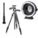 Venus Laowa 24mm f/14: Picture 2 thumbnail