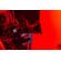 Venus Proteus Cine Lens: Picture 12 thumbnail