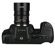 Venus 50mm T2.9: Picture 15 thumbnail