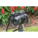 Venus 65mm f/2.8 2X Ultra Macro: Picture 4 thumbnail